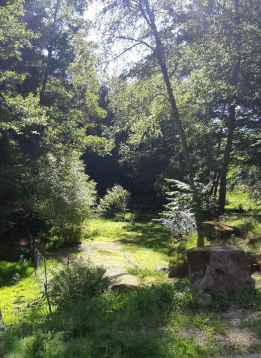 Photo of Others in Dabo