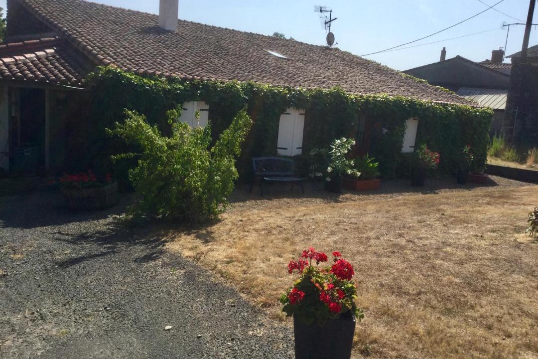 Photo of Buildings in Vallet