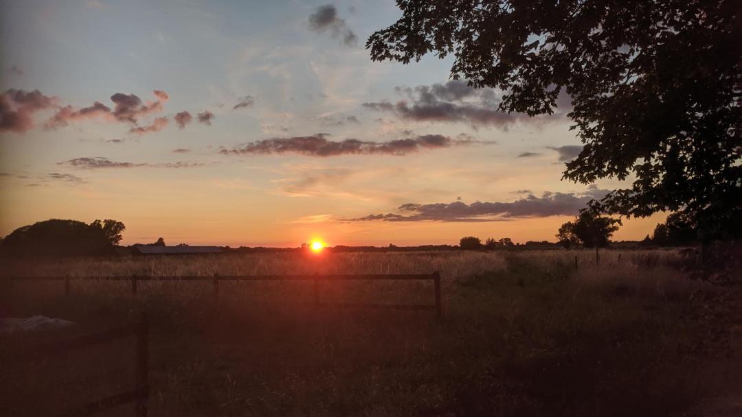 Photo of Others in Stubbekobing