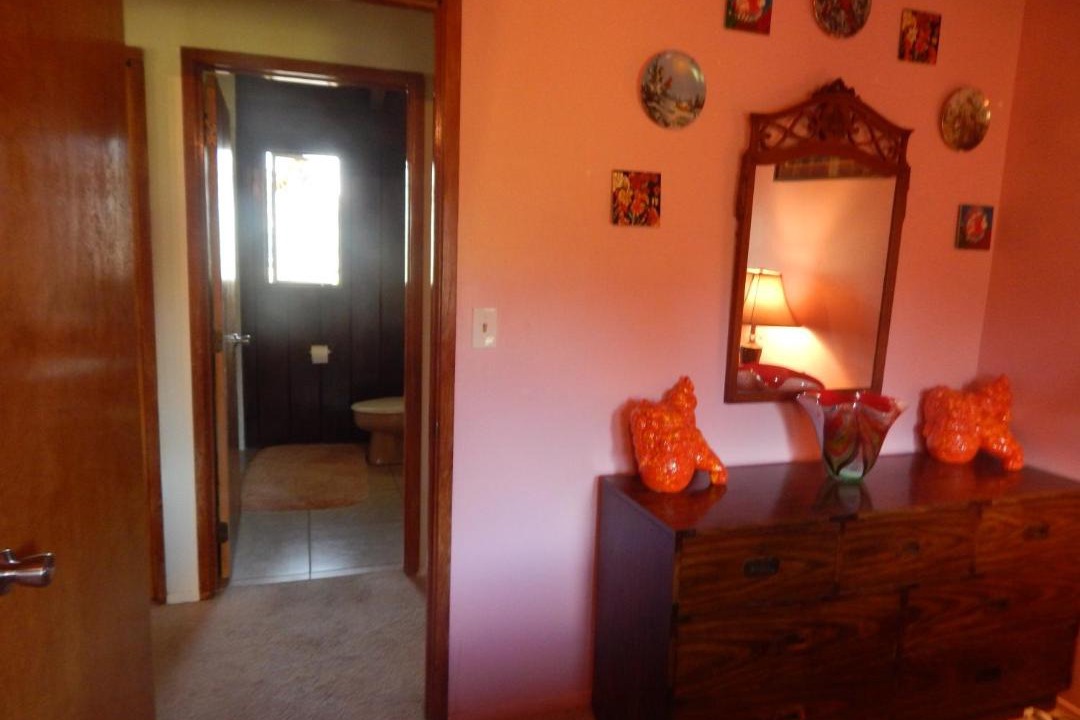 Photo of Others in Fern Forest