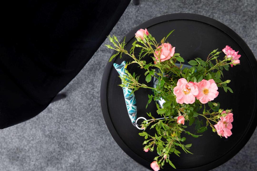 Photo of Others in Larmor-Plage