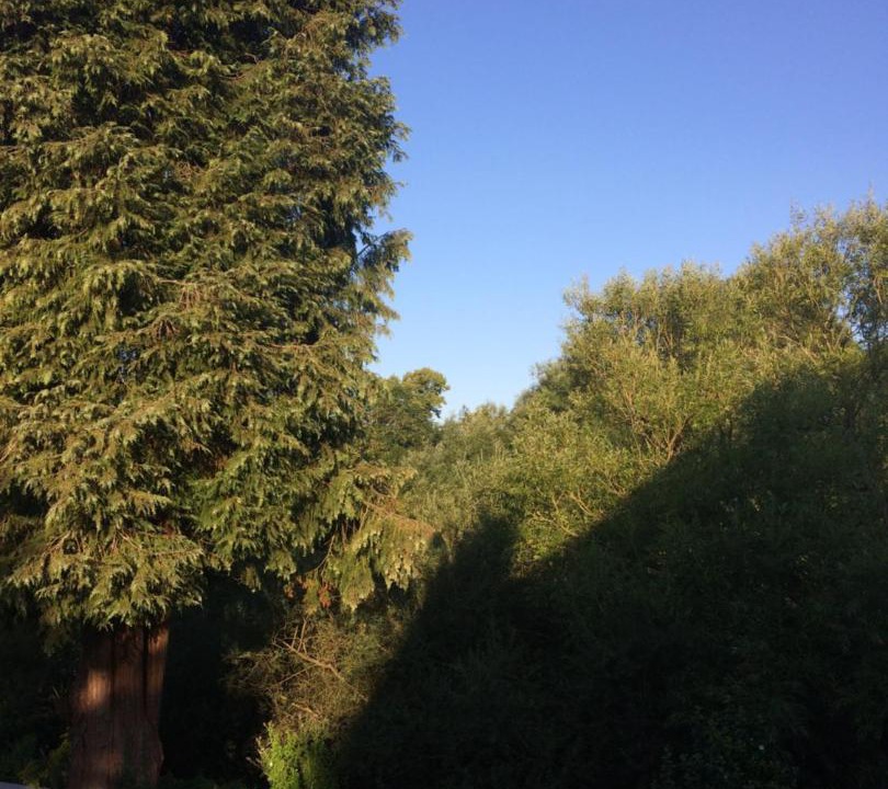 Photo of Outdoor in Bishops Waltham