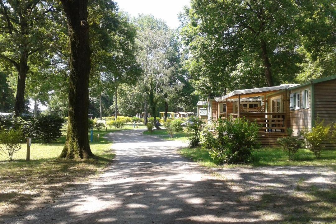 Photo of Others in Mesnard-la-Barotiere