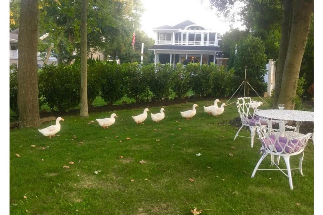 Photo of Others in Spring Lake