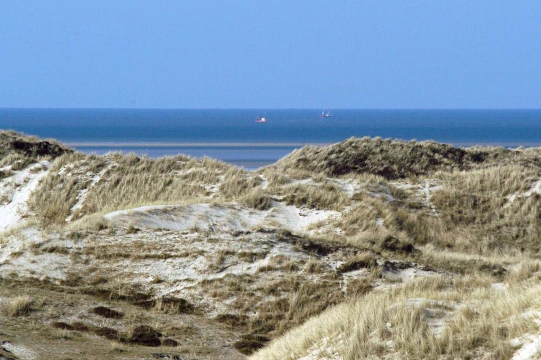 Photo of Others in Rindby Strand