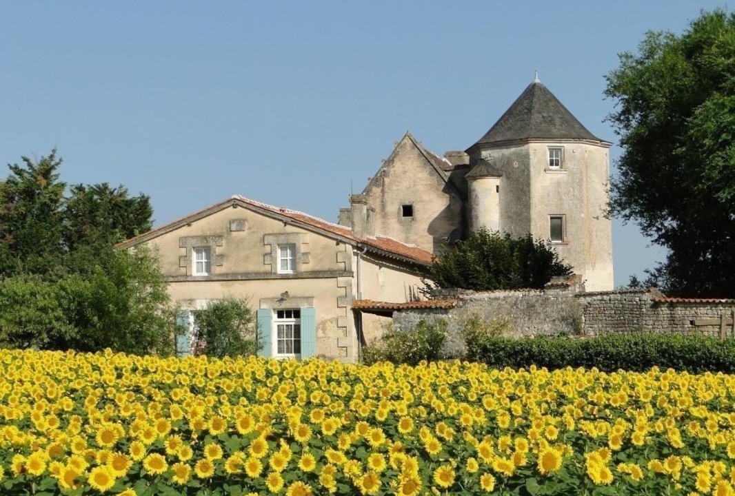 Photo of Others in Avy