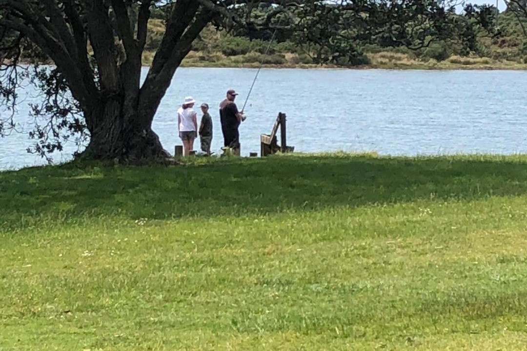 Photo of Others in Athenree