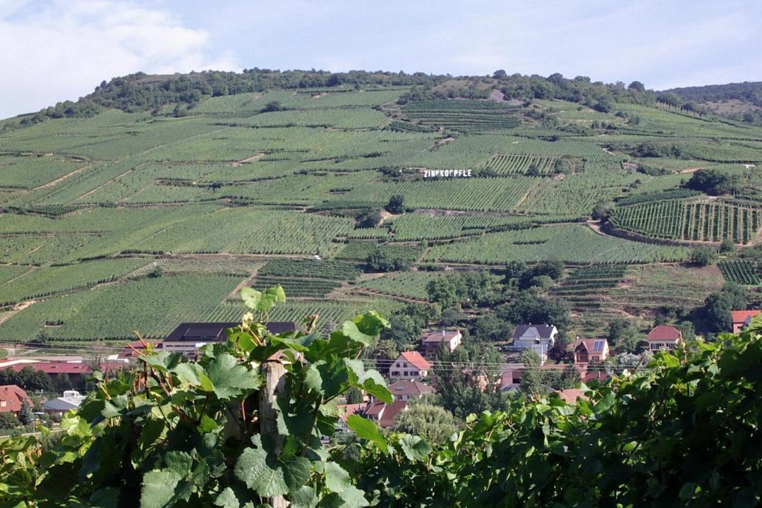 Photo of Outdoor in Soultzmatt