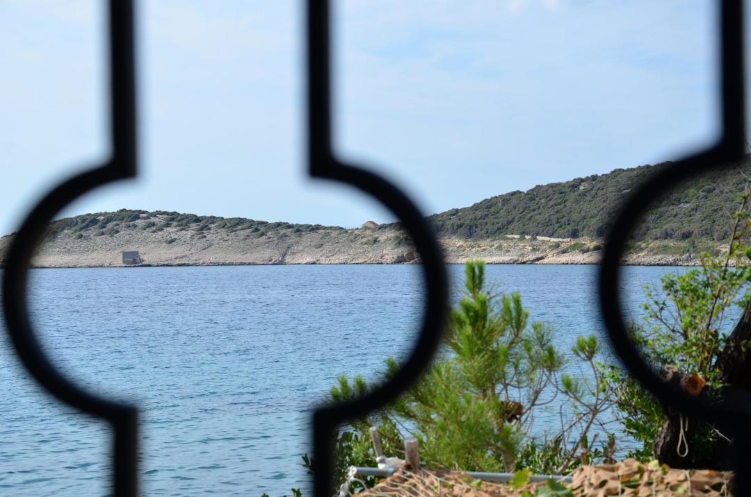 Photo of Others in Martinscica