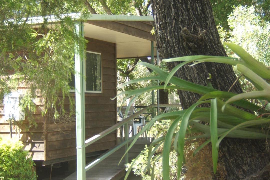 Photo of Others in Aratula