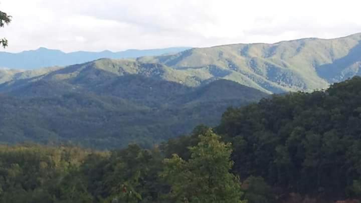 Photo of Others in Sevierville