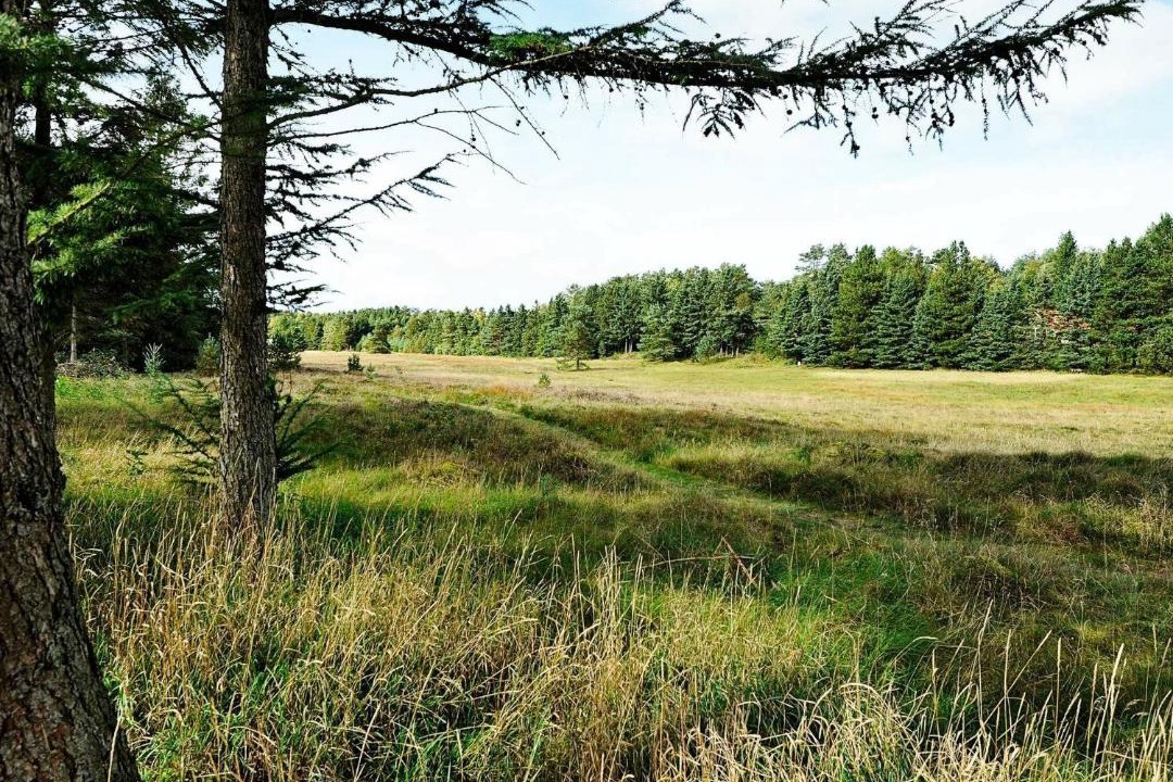 Photo of Outdoor in Bording