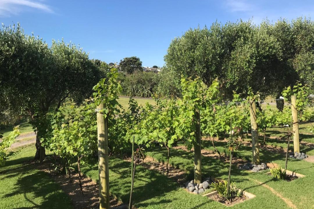 Photo of Outdoor in Gulf Harbour