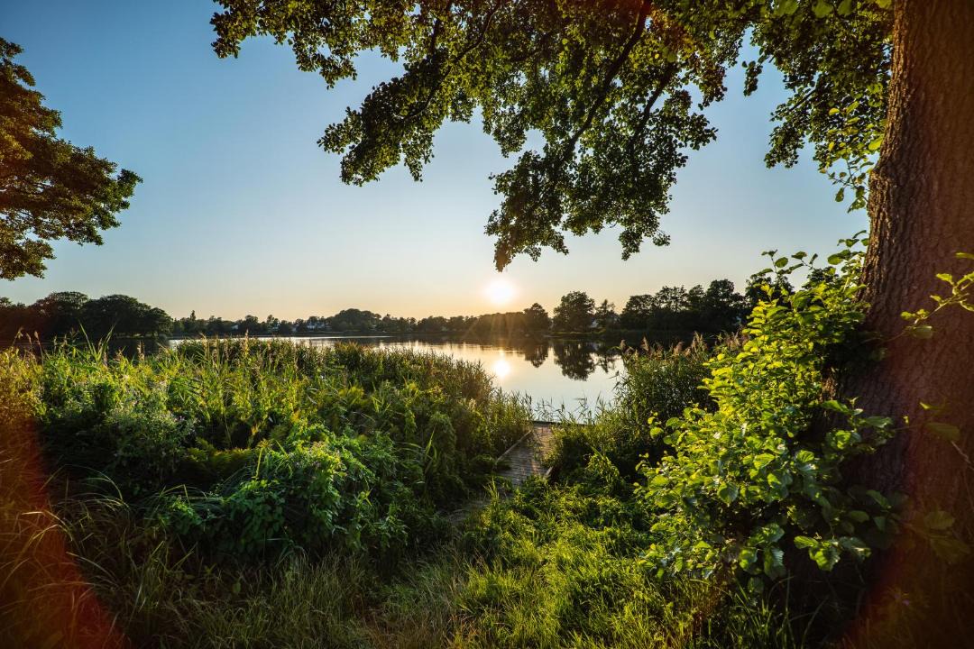 Photo of Others in Hornbaek