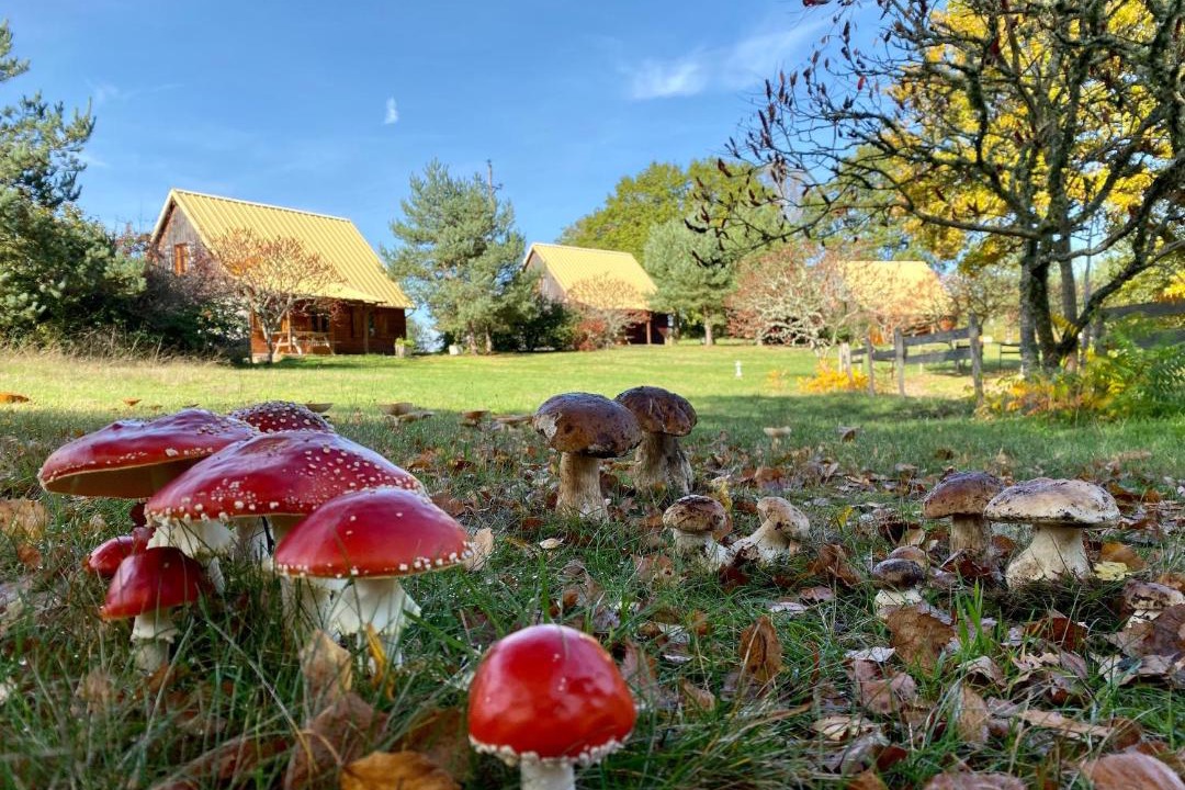 Photo of Others in Ussel