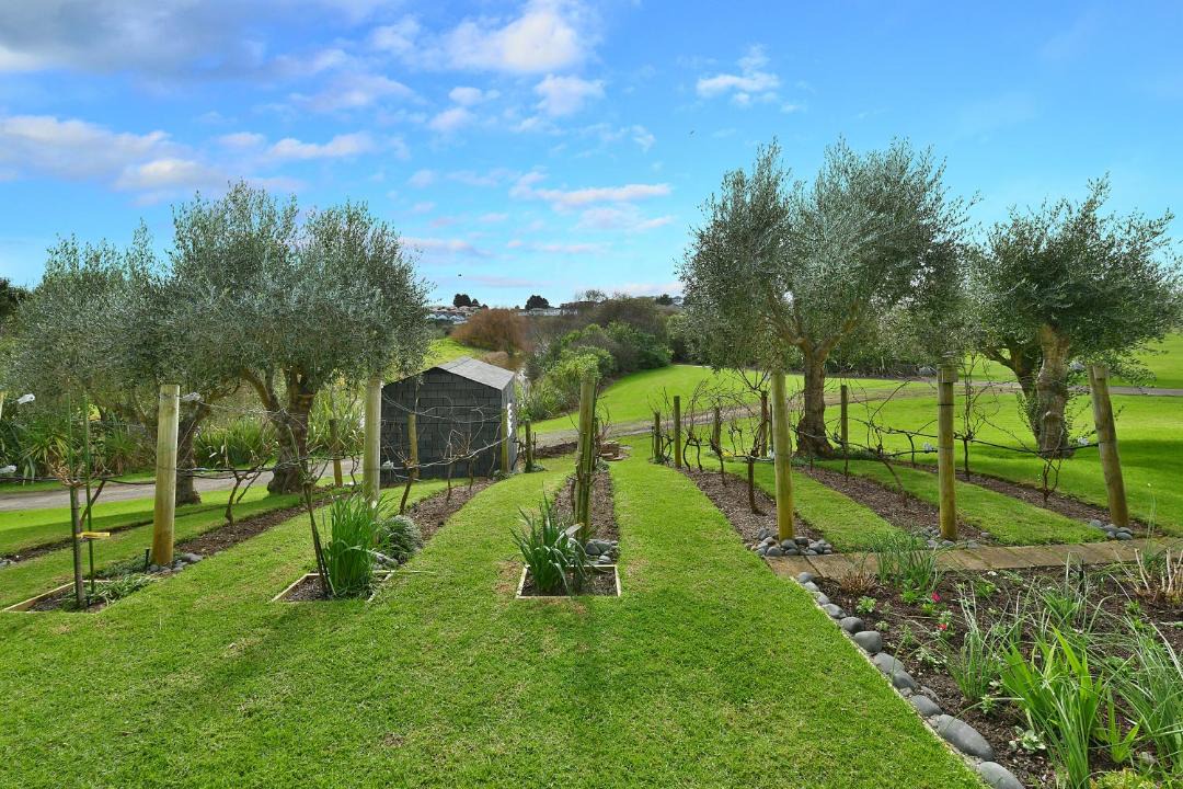 Photo of Others in Gulf Harbour