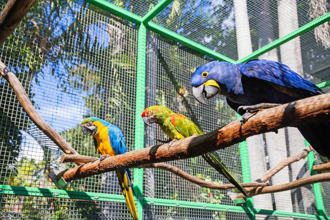 Photo of Others in Ashmore