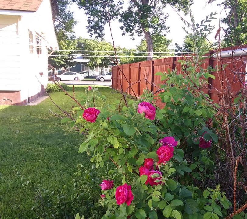 Photo of Others in Powell