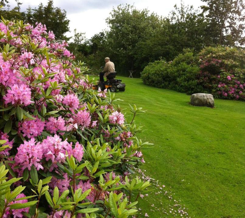 Photo of Others in Nykobing Mors