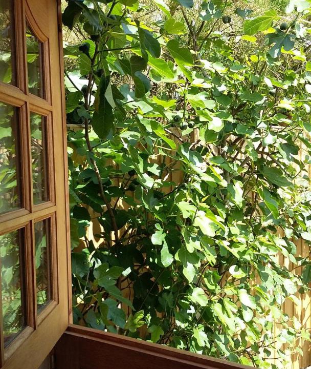 Photo of Others in Ludlow