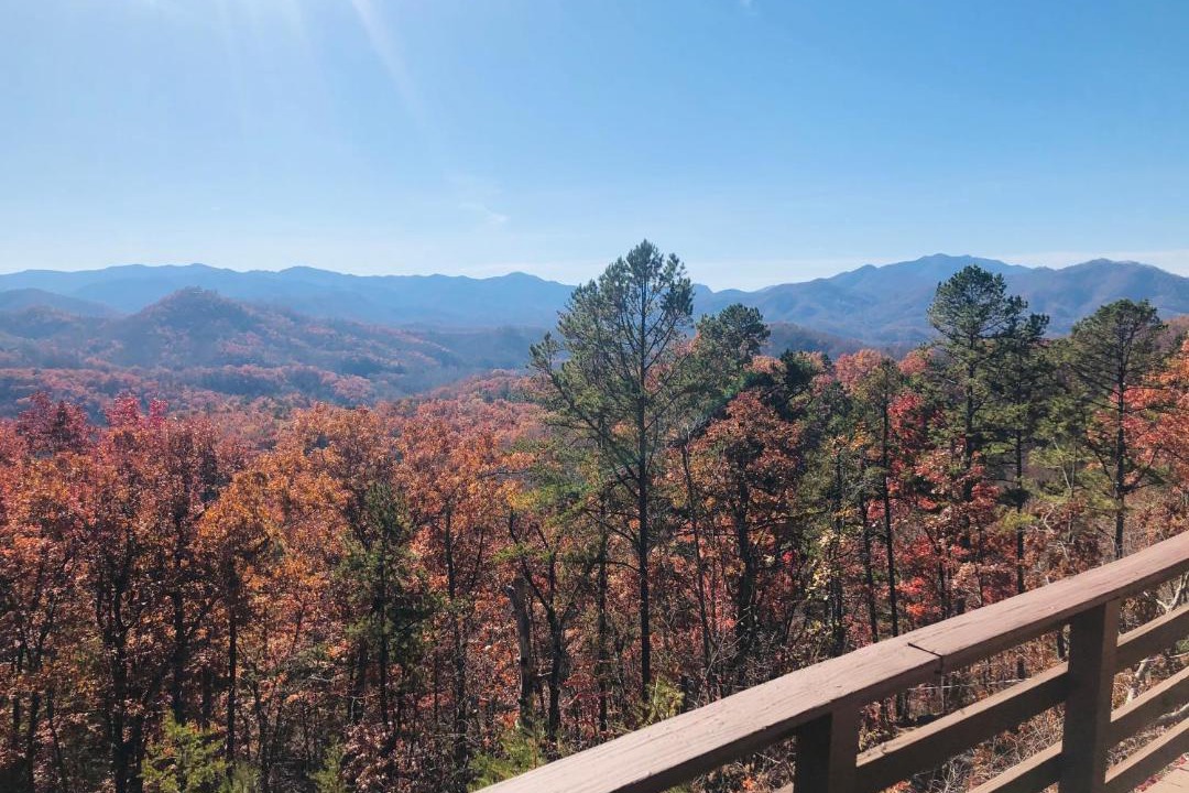 Photo of Others in Bryson City