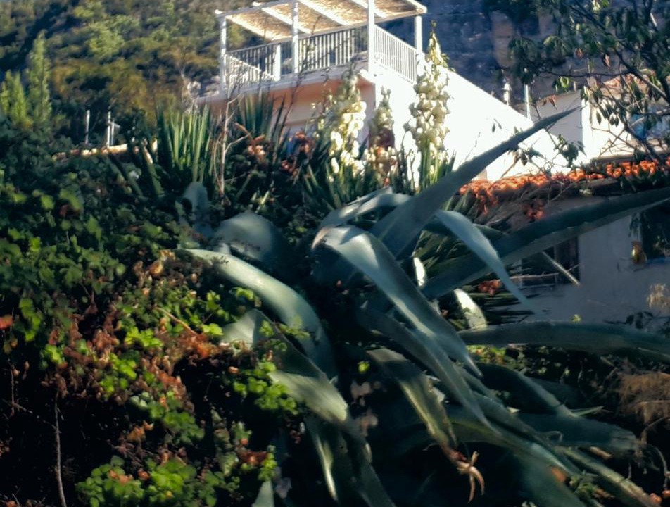 Photo of Others in La Caunette