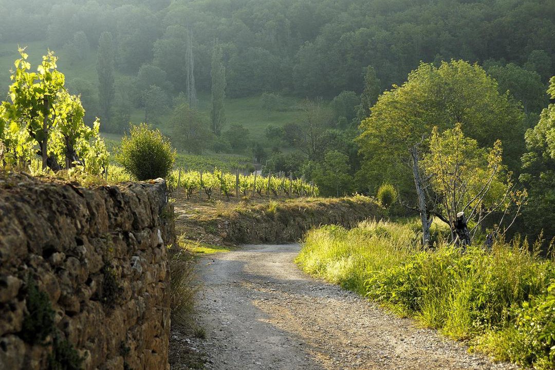 Photo of Others in Salles-la-Source