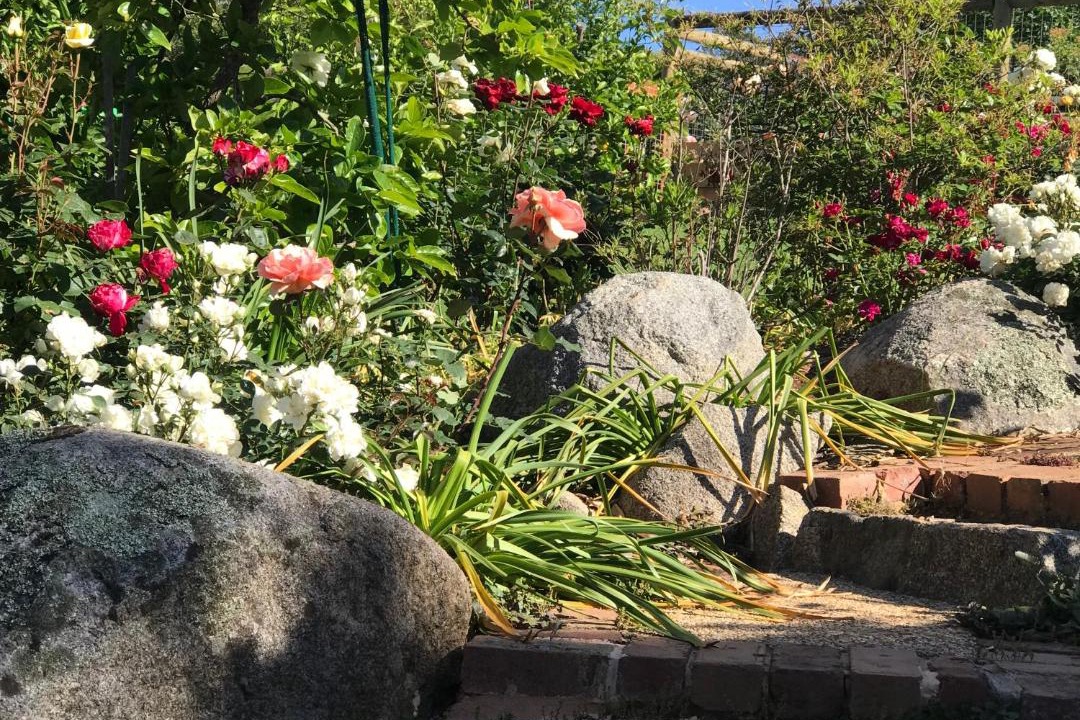 Photo of Others in Gembrook