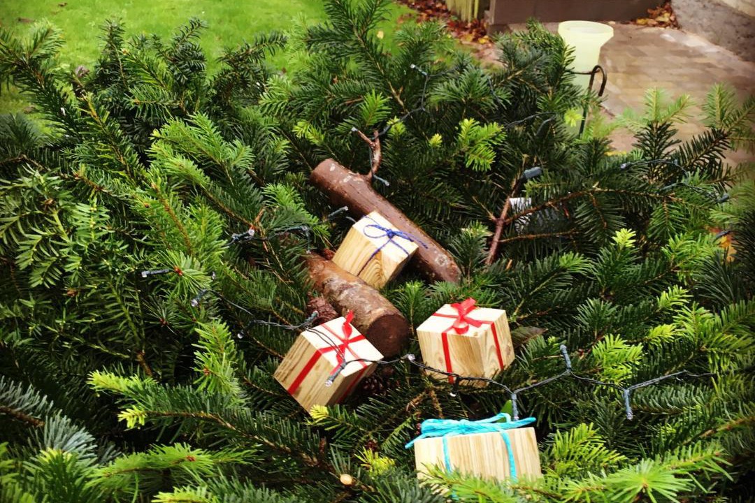 Photo of Others in Nordborg