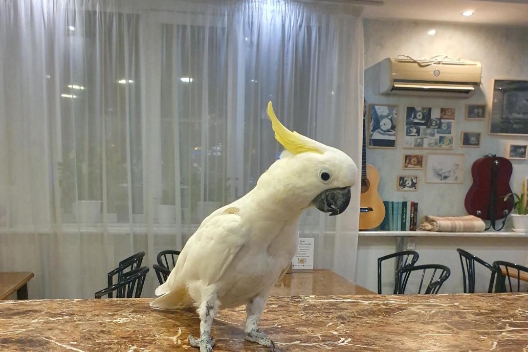 Photo of Others in Achitsky District