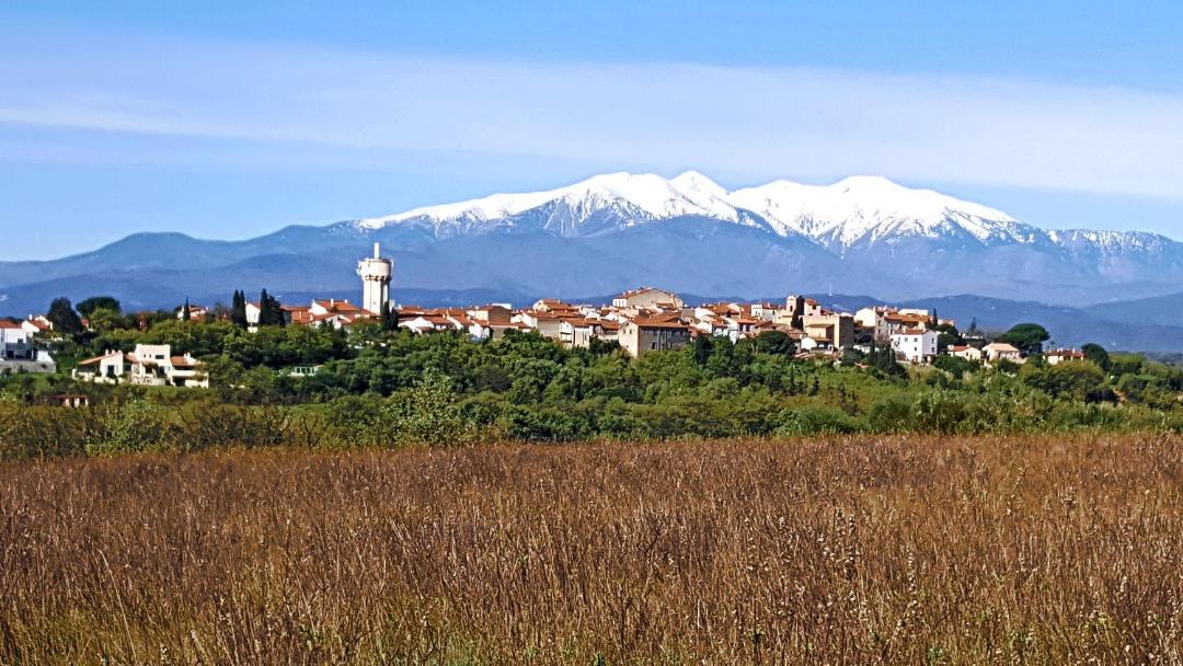 Photo of Others in Banyuls-dels-Aspres