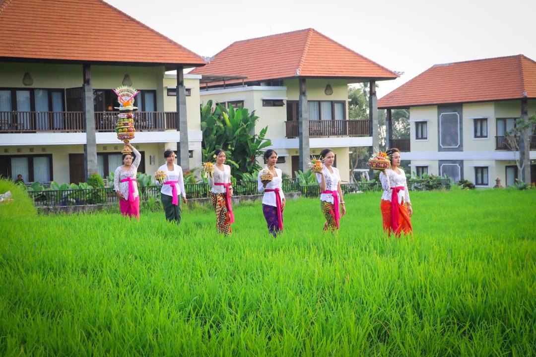 Photo of Buildings in Melayang
