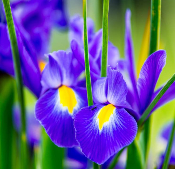 Photo of Outdoor in Beechworth