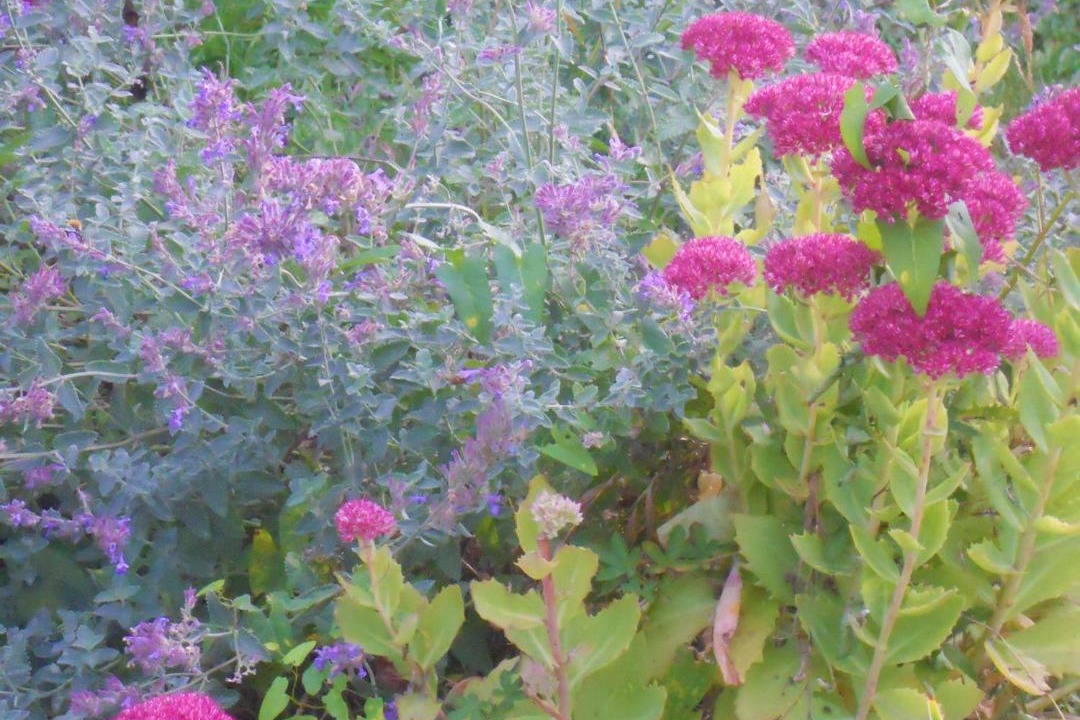 Photo of Outdoor in Nort-sur-Erdre