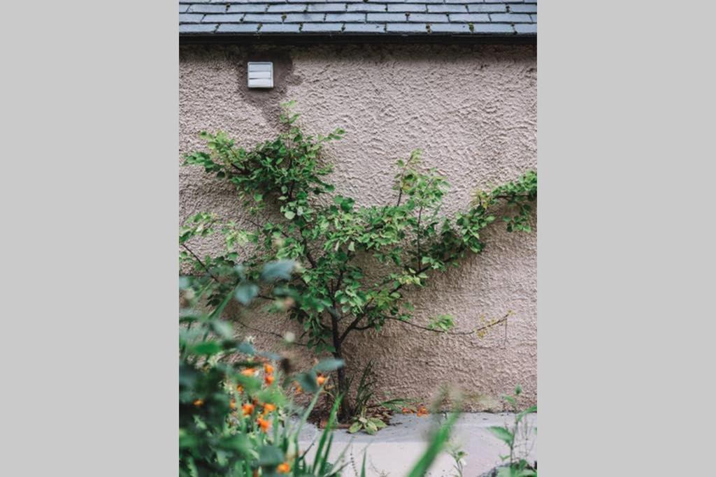 Photo of Others in Fochabers