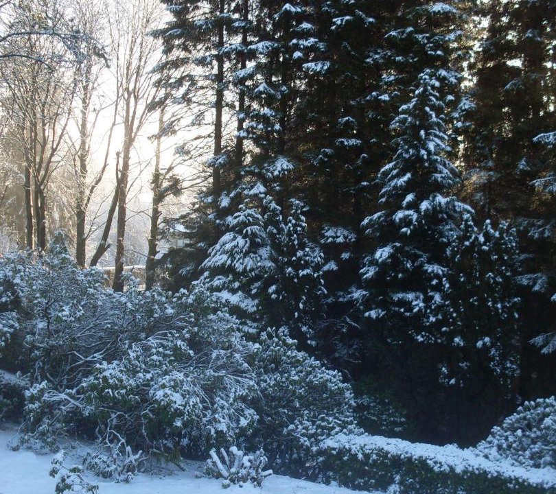 Photo of Others in Wing