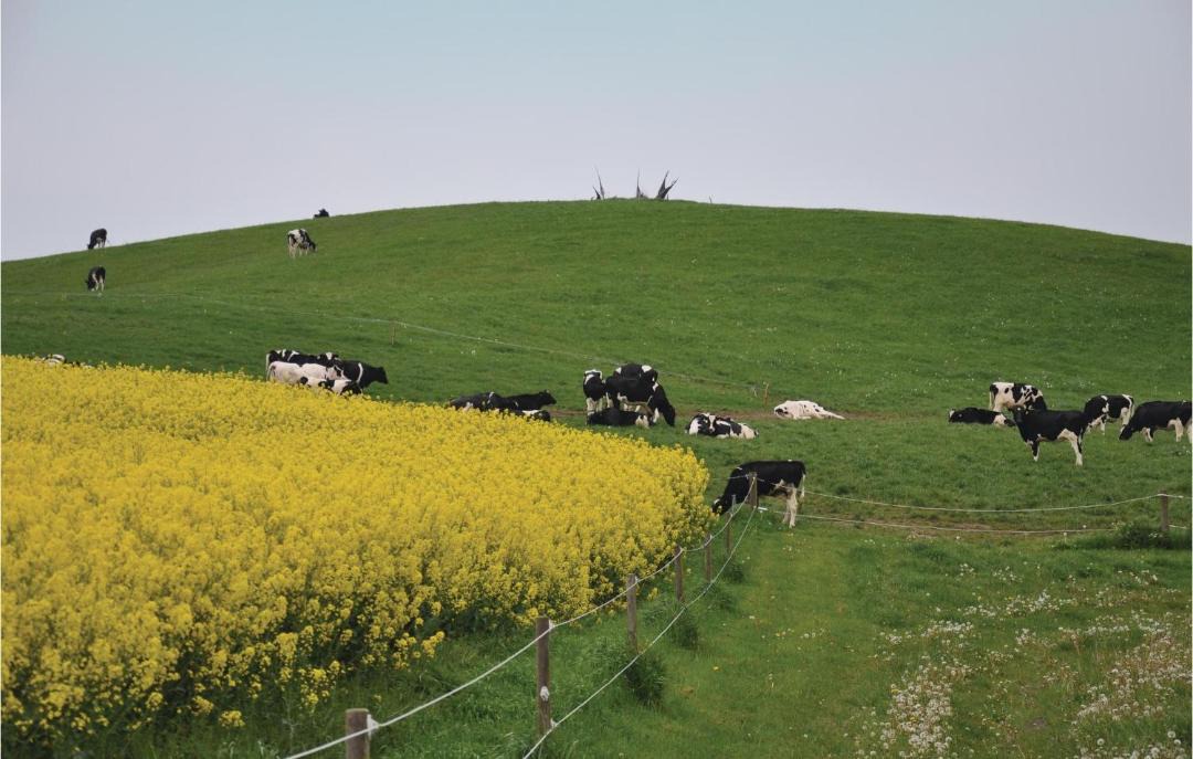 Photo of Others in Faaborg