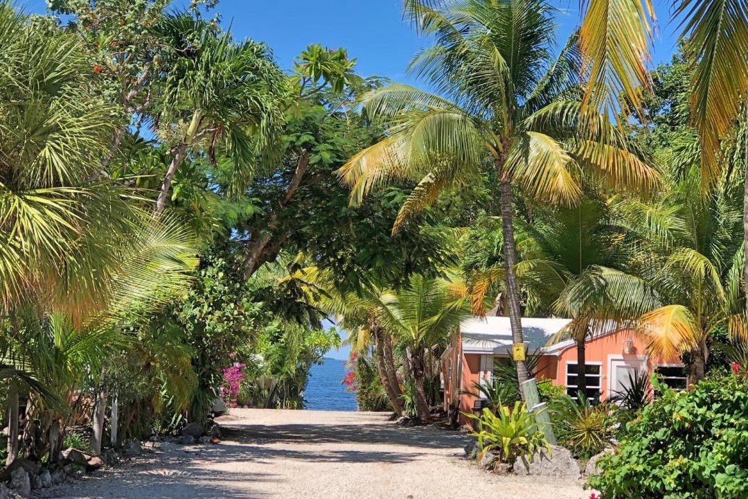 Photo of Others in Key Largo