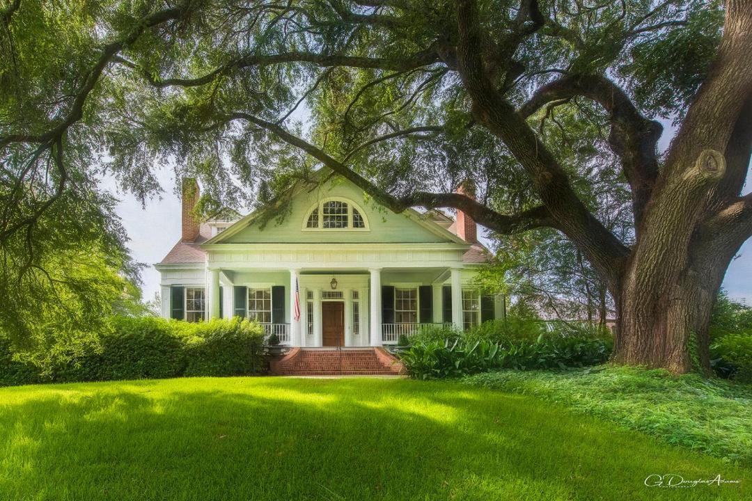 Photo of Others in Natchez