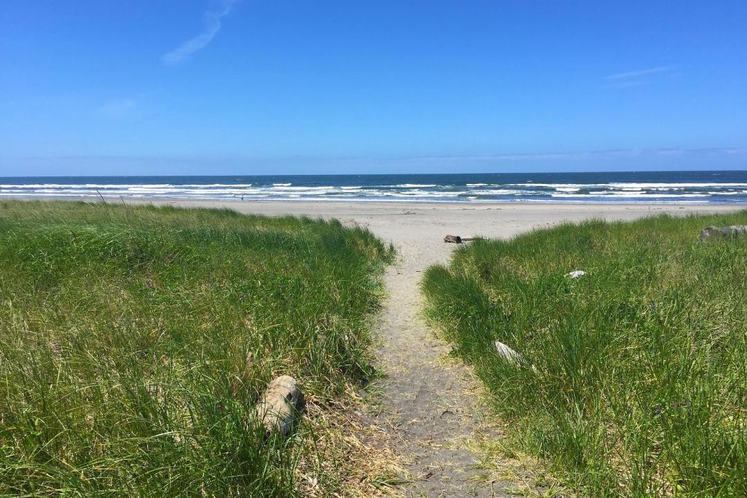 Photo of Outdoor in Seaview