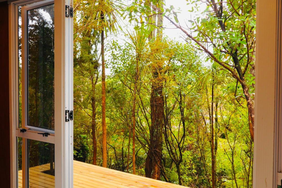 Photo of Others in Wainui