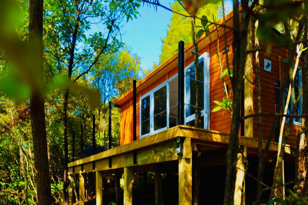 Photo of Others in Wainui