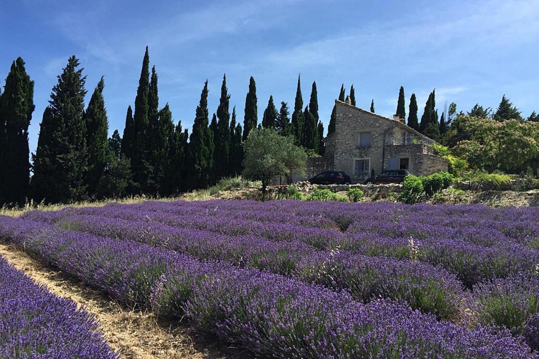 Photo of Others in La Garde-Adhemar