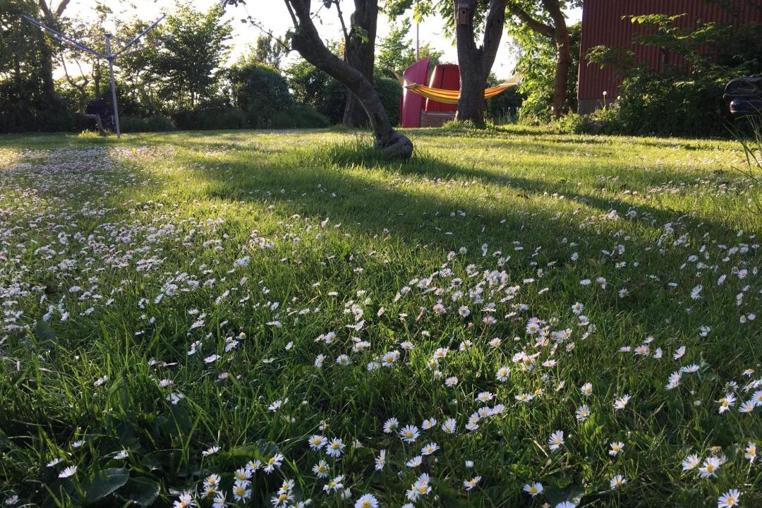 Photo of Outdoor in Thisted