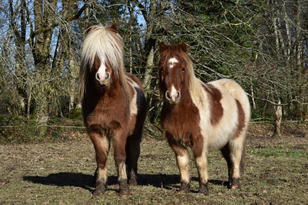 Photo of Others in Kergonan