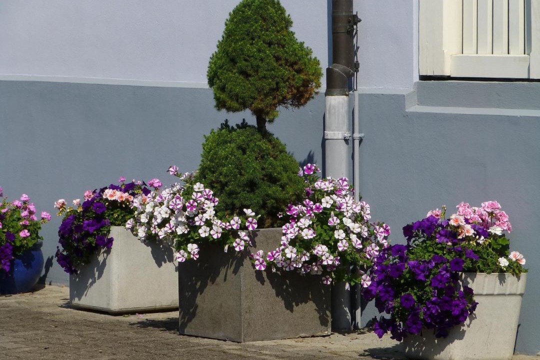 Photo of Others in Brunnen