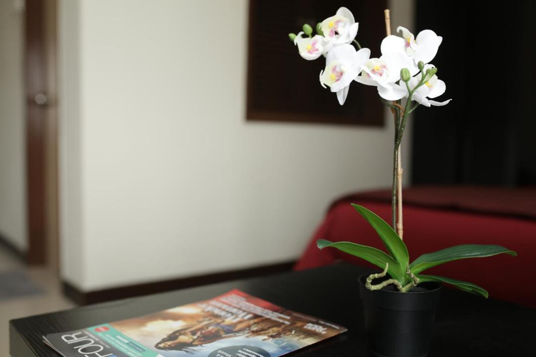 Photo of Others in Malacca City