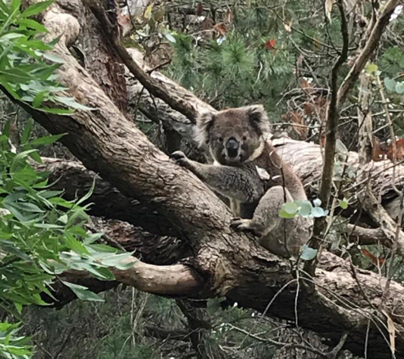 Photo of Others in Houghton