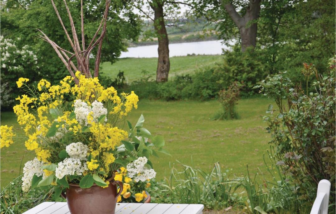 Photo of Others in Faaborg