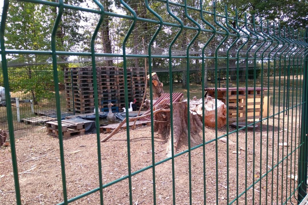 Photo of Others in Courtenay